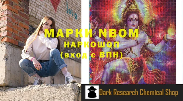 шишки Ладушкин