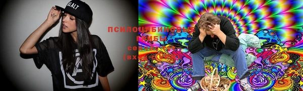 метадон Липки