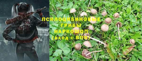 метадон Липки