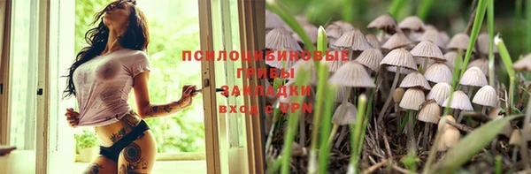 метадон Липки