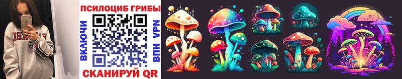 Галлюциногенные грибы Magic Shrooms  Шилка 